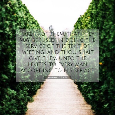 Picture 07 - Numbers 7:5 ASV - Take it of them, that they may be `used' in doing - Bible Verse Picture