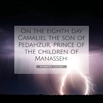 Picture 07 - Numbers 7:54 ASV - On the eighth day Gamaliel the son of Pedahzur, - Bible Verse Picture