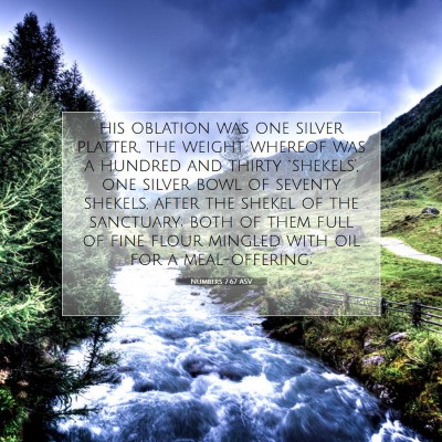 Picture 07 - Numbers 7:67 ASV - his oblation was one silver platter, the weight - Bible Verse Picture