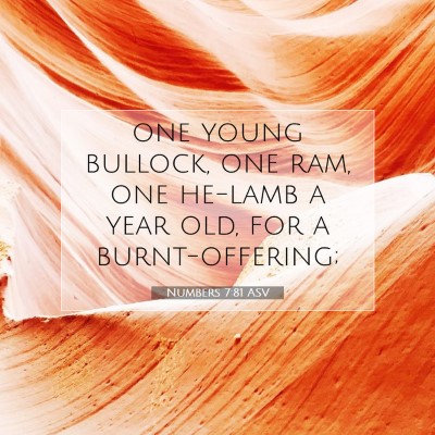 Picture 07 - Numbers 7:81 ASV - one young bullock, one ram, one he-lamb a year - Bible Verse Picture