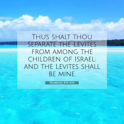 Picture 07 - Numbers 8:14 ASV - Thus shalt thou separate the Levites from among - Bible Verse Picture