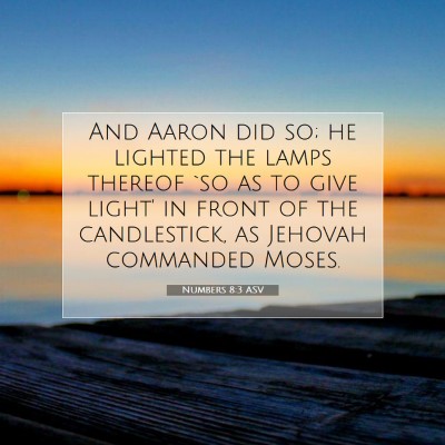 Picture 07 - Numbers 8:3 ASV - And Aaron did so; he lighted the lamps thereof - Bible Verse Picture