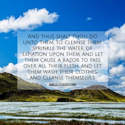Picture 07 - Numbers 8:7 ASV - And thus shalt thou do unto them, to cleanse - Bible Verse Picture