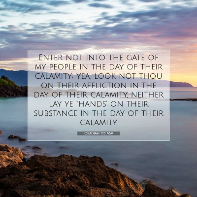 Picture 07 - Obadiah 1:13 ASV - Enter not into the gate of my people in the day - Bible Verse Picture
