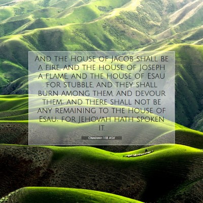 Picture 07 - Obadiah 1:18 ASV - And the house of Jacob shall be a fire, and the - Bible Verse Picture