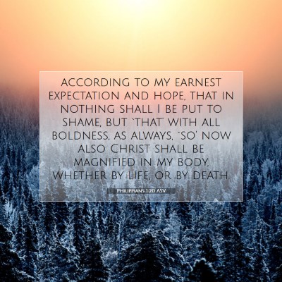 Picture 07 - Philippians 1:20 ASV - according to my earnest expectation and hope, - Bible Verse Picture