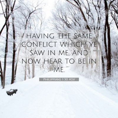 Picture 07 - Philippians 1:30 ASV - having the same conflict which ye saw in me, and - Bible Verse Picture