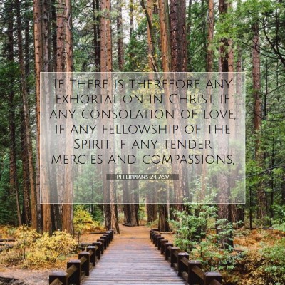 Picture 07 - Philippians 2:1 ASV - If there is therefore any exhortation in Christ, - Bible Verse Picture