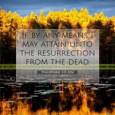 Picture 07 - Philippians 3:11 ASV - if by any means I may attain unto the - Bible Verse Picture