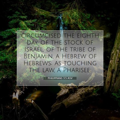 Picture 07 - Philippians 3:5 ASV - circumcised the eighth day, of the stock of - Bible Verse Picture