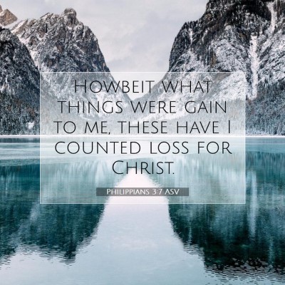 Picture 07 - Philippians 3:7 ASV - Howbeit what things were gain to me, these have I - Bible Verse Picture