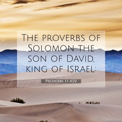 Picture 07 - Proverbs 1:1 ASV - The proverbs of Solomon the son of David, king of - Bible Verse Picture