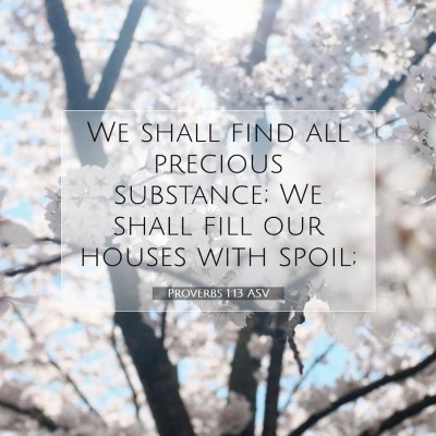 Picture 07 - Proverbs 1:13 ASV - We shall find all precious substance; We shall - Bible Verse Picture
