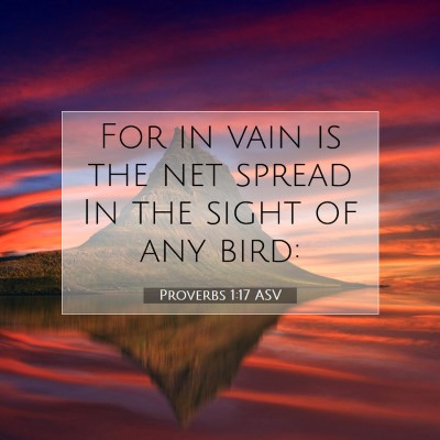 Picture 07 - Proverbs 1:17 ASV - For in vain is the net spread In the sight of any - Bible Verse Picture