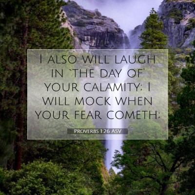 Picture 07 - Proverbs 1:26 ASV - I also will laugh in `the day of' your calamity; - Bible Verse Picture