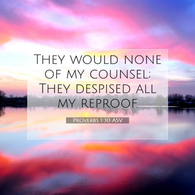 Picture 07 - Proverbs 1:30 ASV - They would none of my counsel; They despised all - Bible Verse Picture