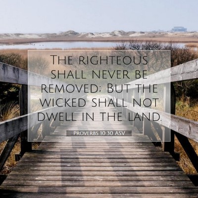 Picture 07 - Proverbs 10:30 ASV - The righteous shall never be removed; But the - Bible Verse Picture