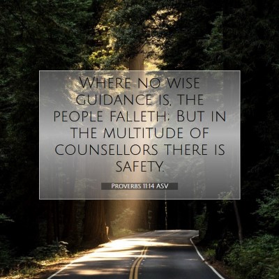 Picture 07 - Proverbs 11:14 ASV - Where no wise guidance is, the people falleth; - Bible Verse Picture