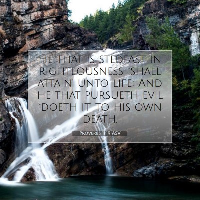 Picture 07 - Proverbs 11:19 ASV - He that is stedfast in righteousness `shall - Bible Verse Picture
