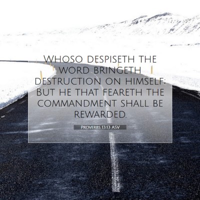 Picture 07 - Proverbs 13:13 ASV - Whoso despiseth the word bringeth destruction on - Bible Verse Picture