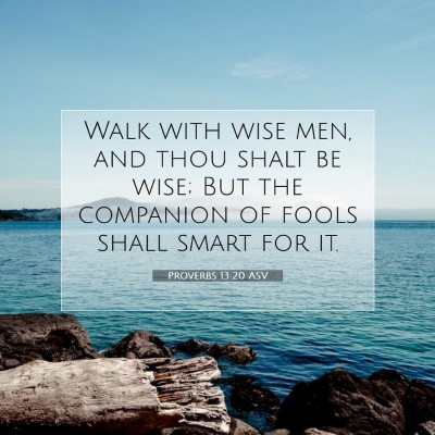 Picture 07 - Proverbs 13:20 ASV - Walk with wise men, and thou shalt be wise; But - Bible Verse Picture