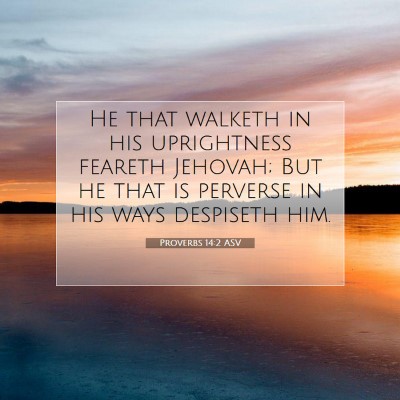 Picture 07 - Proverbs 14:2 ASV - He that walketh in his uprightness feareth - Bible Verse Picture