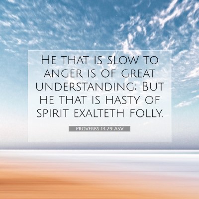 Picture 07 - Proverbs 14:29 ASV - He that is slow to anger is of great - Bible Verse Picture
