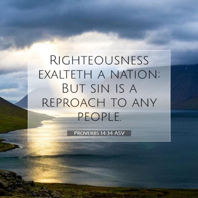Picture 07 - Proverbs 14:34 ASV - Righteousness exalteth a nation; But sin is a - Bible Verse Picture