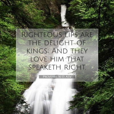 Picture 07 - Proverbs 16:13 ASV - Righteous lips are the delight of kings; And they - Bible Verse Picture