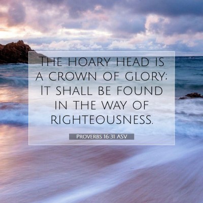 Picture 07 - Proverbs 16:31 ASV - The hoary head is a crown of glory; It shall be - Bible Verse Picture