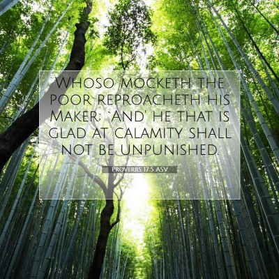 Picture 07 - Proverbs 17:5 ASV - Whoso mocketh the poor reproacheth his Maker; - Bible Verse Picture