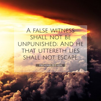 Picture 07 - Proverbs 19:5 ASV - A false witness shall not be unpunished; And he - Bible Verse Picture