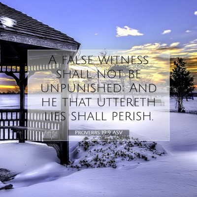 Picture 07 - Proverbs 19:9 ASV - A false witness shall not be unpunished; And he - Bible Verse Picture