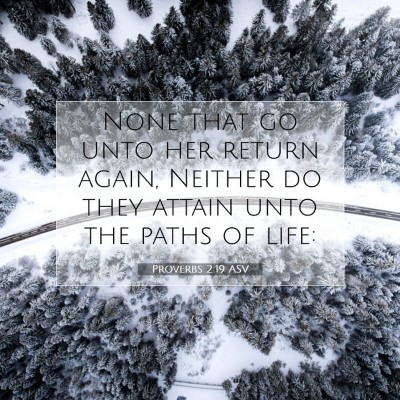 Picture 07 - Proverbs 2:19 ASV - None that go unto her return again, Neither do - Bible Verse Picture