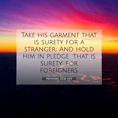 Picture 07 - Proverbs 20:16 ASV - Take his garment that is surety for a stranger; - Bible Verse Picture