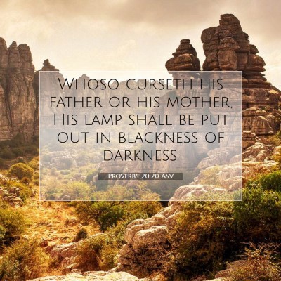 Picture 07 - Proverbs 20:20 ASV - Whoso curseth his father or his mother, His lamp - Bible Verse Picture