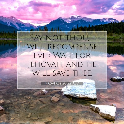 Picture 07 - Proverbs 20:22 ASV - Say not thou, I will recompense evil: Wait for - Bible Verse Picture