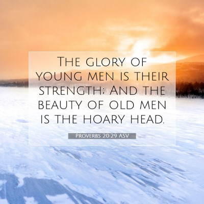 Picture 07 - Proverbs 20:29 ASV - The glory of young men is their strength; And the - Bible Verse Picture