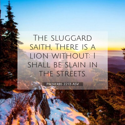Picture 07 - Proverbs 22:13 ASV - The sluggard saith, There is a lion without: I - Bible Verse Picture