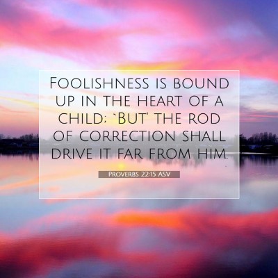 Picture 07 - Proverbs 22:15 ASV - Foolishness is bound up in the heart of a child; - Bible Verse Picture
