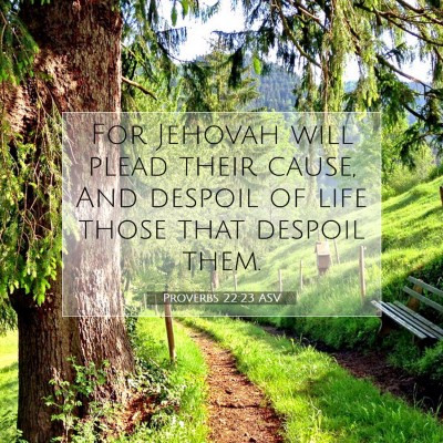 Picture 07 - Proverbs 22:23 ASV - For Jehovah will plead their cause, And despoil - Bible Verse Picture