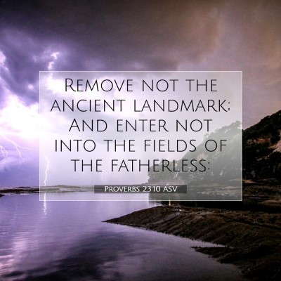 Picture 07 - Proverbs 23:10 ASV - Remove not the ancient landmark; And enter not - Bible Verse Picture