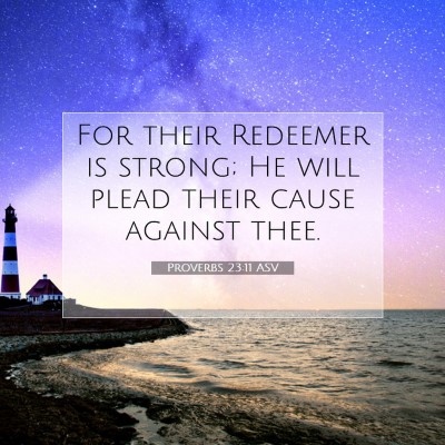 Picture 07 - Proverbs 23:11 ASV - For their Redeemer is strong; He will plead their - Bible Verse Picture