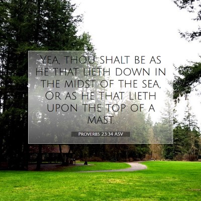 Picture 07 - Proverbs 23:34 ASV - Yea, thou shalt be as he that lieth down in the - Bible Verse Picture