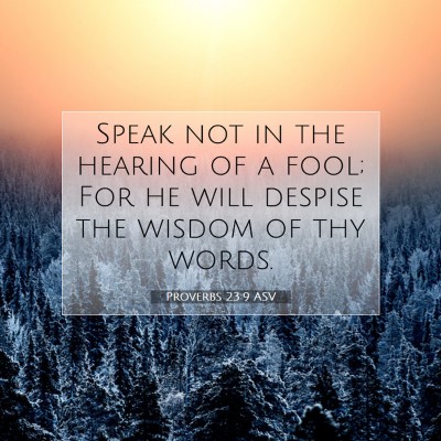 Picture 07 - Proverbs 23:9 ASV - Speak not in the hearing of a fool; For he will - Bible Verse Picture