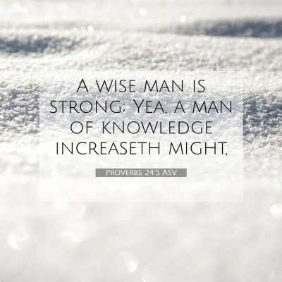 Picture 07 - Proverbs 24:5 ASV - A wise man is strong; Yea, a man of knowledge - Bible Verse Picture