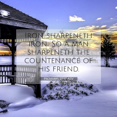 Picture 07 - Proverbs 27:17 ASV - Iron sharpeneth iron; So a man sharpeneth the - Bible Verse Picture