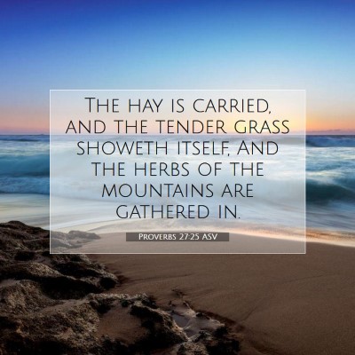 Picture 07 - Proverbs 27:25 ASV - The hay is carried, and the tender grass showeth - Bible Verse Picture