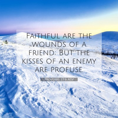 Picture 07 - Proverbs 27:6 ASV - Faithful are the wounds of a friend; But the - Bible Verse Picture