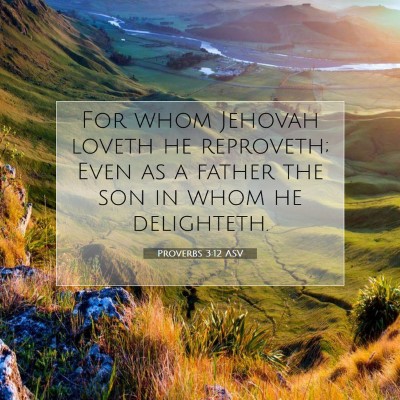 Picture 07 - Proverbs 3:12 ASV - For whom Jehovah loveth he reproveth; Even as a - Bible Verse Picture